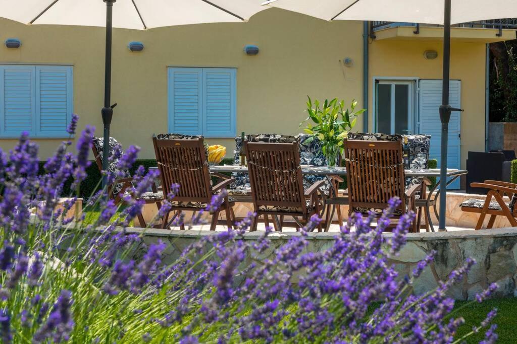 Vila Vergatum-Privacy,Gym,Billiards,Table Tennis Donji Brgat Εξωτερικό φωτογραφία